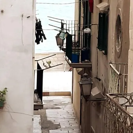 Appartement In *